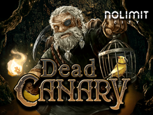 Dead Canary